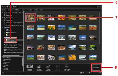 Figure : Fenêtre My Image Garden